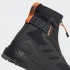 Чоловічі черевики adidas TERREX COLD.RDY (АРТИКУЛ:FU7217)