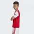 Детская футболка adidas ARSENAL HOME K (АРТИКУЛ: EH5644)