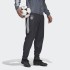 Мужские брюки adidas Germany Presentation (АРТИКУЛ: FI0763)