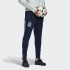 Чоловічі штани adidas SPAIN TRAINING (АРТИКУЛ: FI6286)