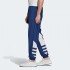 Мужские брюки adidas BIG TREFOIL (АРТИКУЛ: FM9895)