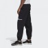 Чоловічі штани adidas Z.N.E. (АРТИКУЛ: FU0051)