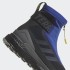 Чоловічі черевики adidas TERREX COLD.RDY (АРТИКУЛ: FZ3364)
