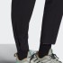 Женские брюки adidas TERREX LITEFLEX (АРТИКУЛ: GI7176)