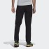 Чоловічі штани adidas TERREX LITEFLEX (АРТИКУЛ: GI7310)