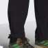 Чоловічі штани adidas TERREX LITEFLEX (АРТИКУЛ: GI7310)