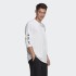 Чоловіча футболка з довгим рукавом adidas ADVENTURE GRAPHIC (АРТИКУЛ: GN2380)