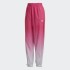 Женские брюки adidas ADICOLOR TREFOIL 3D (АРТИКУЛ: GN2851)