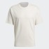 Мужская футболка adidas ADICOLOR PREMIUM  (АРТИКУЛ: GN3370)