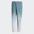Мужские брюки adidas 3D TREFOIL 3-STRIPES OMBRÉ  (АРТИКУЛ: GN3587)