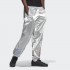 Чоловічі штани adidas ADICOLOR TRICOLOR (АРТИКУЛ: GN4213)