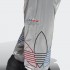Чоловічі штани adidas ADICOLOR TRICOLOR (АРТИКУЛ: GN4213)