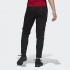Чоловічі штани adidas АРСЕНАЛ TIRO (АРТИКУЛ: GR4176 )
