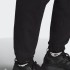Чоловічі штани adidas ADICOLOR TREFOIL 3D (АРТИКУЛ: H11379)