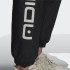 Чоловічі штани adidas GRAPHICS SYMBOL (АРТИКУЛ: H13504)