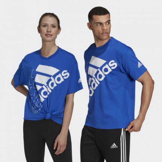 Футболка adidas ESSENTIALS LOGO (УНИСЕКС) (АРТИКУЛ: H14668 )