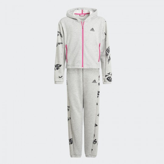 Спортивный костюм adidas HOODED TRACKSUIT (АРТИКУЛ: H26619)