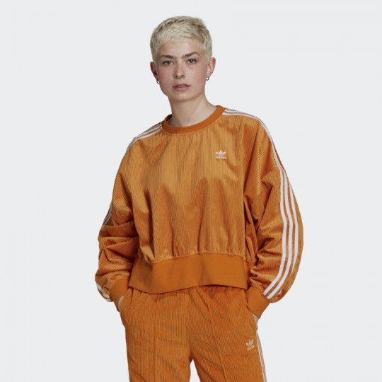 Женский джемпер adidas ADICOLOR CLASSICS VELOUR (АРТИКУЛ: H37847)