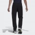 Чоловічі штани adidas TERREX YEAROUND SOFT SHELL (АРТИКУЛ: H64172 )