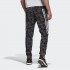 Мужские брюки adidas SPORTSWEAR FUTURE ICONS CAMO GRAPHIC (АРТИКУЛ: HA5839)
