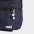 Рюкзак adidas CLASSIC GRAPHIC (АРТИКУЛ: HB1334)