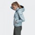 Жіноча куртка adidas TERREX AX ENTRY W (АРТИКУЛ: DT4181 )