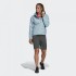 Жіноча куртка adidas TERREX AX ENTRY W (АРТИКУЛ: DT4181 )