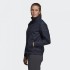 Жіноча куртка adidas TERREX AX ENTRY W (АРТИКУЛ: DT4182 )