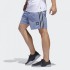 Чоловічі шорти adidas CLATSOP (АРТИКУЛ: DU3902 )