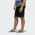 Мужские шорты adidas BARBUR (АРТИКУЛ: DU8382 )