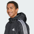 Чоловіча куртка adidas ESSENTIALS 3-STRIPES INSULATION HOODED (АРТИКУЛ:JD1032)
