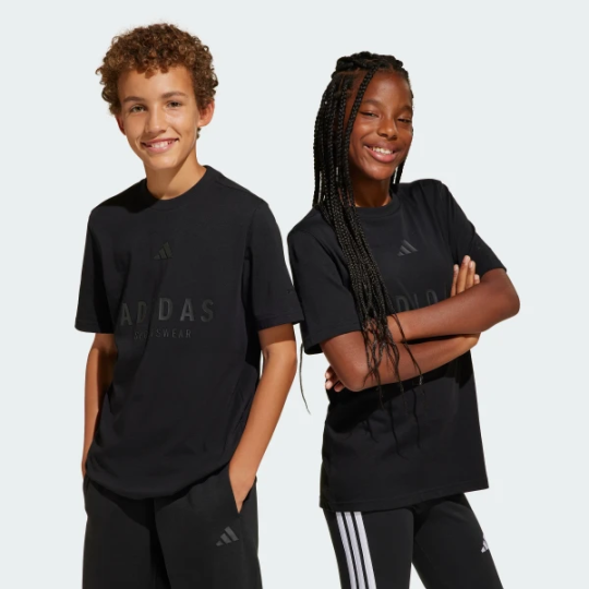 Футболка adidas ALL SZN GRAPHIC KIDS (АРТИКУЛ:JC7616 )