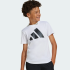 Футболка adidas ESSENTIALS KIDS (АРТИКУЛ: JC9659)