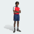 Шорты adidas ARSENAL FC ORIGINALS (АРТИКУЛ:JY7778)