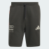 Шорты adidas AUDI FORMULA ONE TEAM DNA (АРТИКУЛ:KE6786)