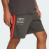 Шорты adidas AUDI FORMULA ONE TEAM DNA (АРТИКУЛ:KE6786)