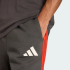 Шорты adidas AUDI FORMULA ONE TEAM DNA (АРТИКУЛ:KE6786)