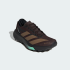 Мужские кроссовки adidas TERREX AGRAVIC GTX 2 TRAIL RUNNING (АРТИКУЛ:HQ5088)