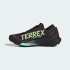 Мужские кроссовки adidas TERREX AGRAVIC GTX 2 TRAIL RUNNING (АРТИКУЛ:HQ5088)