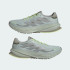 Чоловічі кросівки adidas SUPERNOVA RISE GTX RUNNING (АРТИКУЛ:JQ5485)