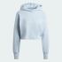 Жіноча худі adidas ALL SZN FRENCH TERRY 3-STRIPES (АРТИКУЛ:IY6847) Жіноча худі adidas ALL SZN FRENCH TERRY 3-STRIPES (АРТИКУЛ:IY6847)