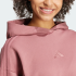 Жіноча худі adidas ALL SZN FRENCH TERRY 3-STRIPES (АРТИКУЛ:IY6848) Жіноча худі adidas ALL SZN FRENCH TERRY 3-STRIPES (АРТИКУЛ:IY6848)