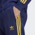 Мужские брюки adidas ADICOLOR CLASSICS+ SST  (АРТИКУЛ:IJ6998)