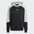 Мужской спортивный костюм adidas SPORTSWEAR FLEECE COLORBLOCK  (АРТИКУЛ:IY0300)