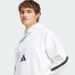 Худі adidas NEW Z.N.E. FULL-ZIP (АРТИКУЛ:JF2454)