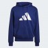 Чоловіча худі adidas FUTURE ICONS LOGO GRAPHIC HOODIE  (АРТИКУЛ:GR4106)