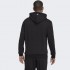 Мужская худи adidas FUTURE ICONS LOGO GRAPHIC HOODIE  (АРТИКУЛ:H39801)