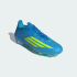 Футбольные бутсы adidas F50 ELITE FIRM GROUND (АРТИКУЛ:JR6450)