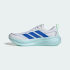 Чоловічі кросівки adidas SUPERNOVA GLIDE M (АРТИКУЛ: KJ8758 )