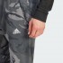 Мужские брюки adidas SEASONAL ESSENTIALS  (АРТИКУЛ:IS2023)